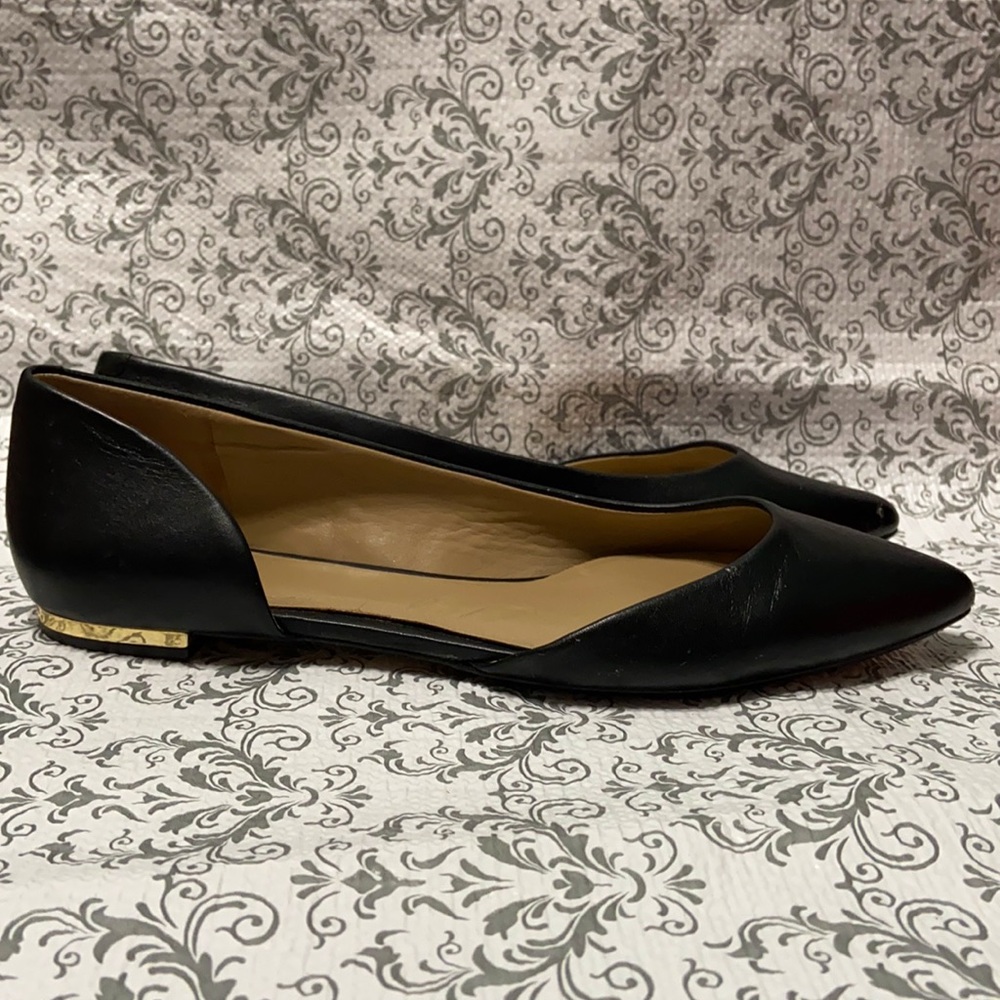 Ann Taylor flats pointed